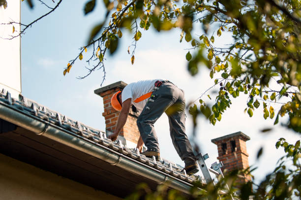 Best Roof Replacement Cost  in Burton, MI