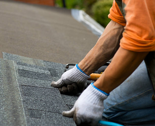 Best Roof Waterproofing Services  in Burton, MI