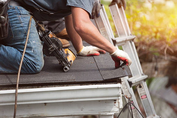 Best Roof Gutter Cleaning  in Burton, MI